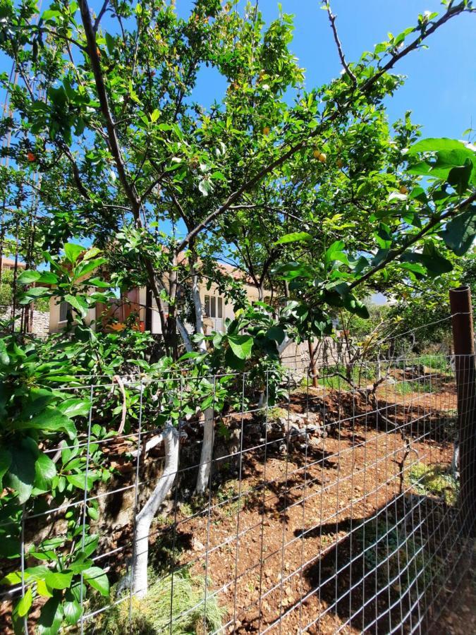 Villa Ardiano Ksamil Eksteriør bilde